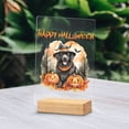 thumbnail image 2 of Happy Halloween Newfoundland Witches Hat Pumpkin Carving Acrylic Plaque Sign Ashwood Base Newfie Dog Lover Gifts Home Desk Decor - 02019, 2 of 5