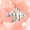 thumbnail image 2 of Green, Jacob 12x12 White Modern Wood Framed Museum Art Print Titled - Blush and Ochre Angel Fish I, 2 of 4