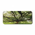 thumbnail image 1 of Nature Computer Mouse Pad, Largest Monkey Pod Tree in Thailand Eastern Green Big Branches Growth Eco Photo, Rectangle Non-Slip Rubber Mousepad X-Large, 35" x 15", Green Brown, by Ambesonne, 1 of 2