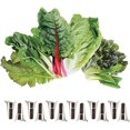 thumbnail image 1 of Vegehome Stir-Fry Bundle 6 Pack (12 Pods), 1 of 2