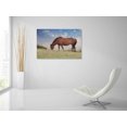 thumbnail image 5 of Epic Art 'Assataegue Horse' by Lori Deiter, Acrylic Glass Wall Art, 36"x24", 5 of 5