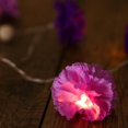 thumbnail image 4 of Efavormart 4 FT 10 LED Purple and Lavender Carnation Flowers Battery Operated Fairy String Lights Party Home Kitchen Bar Decoration, 4 of 9