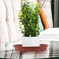 thumbnail image 4 of VERDANVERSE 20Ud Platos Para Macetas De Plástico Resistentes Para Plantas De Interior Y Exterior, 4 of 8