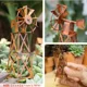 thumbnail image 3 of Figuras de hadas de jardín en miniatura, estatuas de hadas en miniatura de resina, adornos de jardín de hadas, accesorios de decoración, 3 of 5