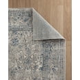 thumbnail image 4 of Sofihas Boho Area Rugs, Blue/Gray Traditional Area Rug, 5'x7' Indoor Rugs, 4 of 6