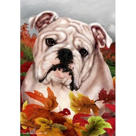 Bulldog White - Best of Breed Fall Leaves Garden (Best Bulldog Breeders In Us)