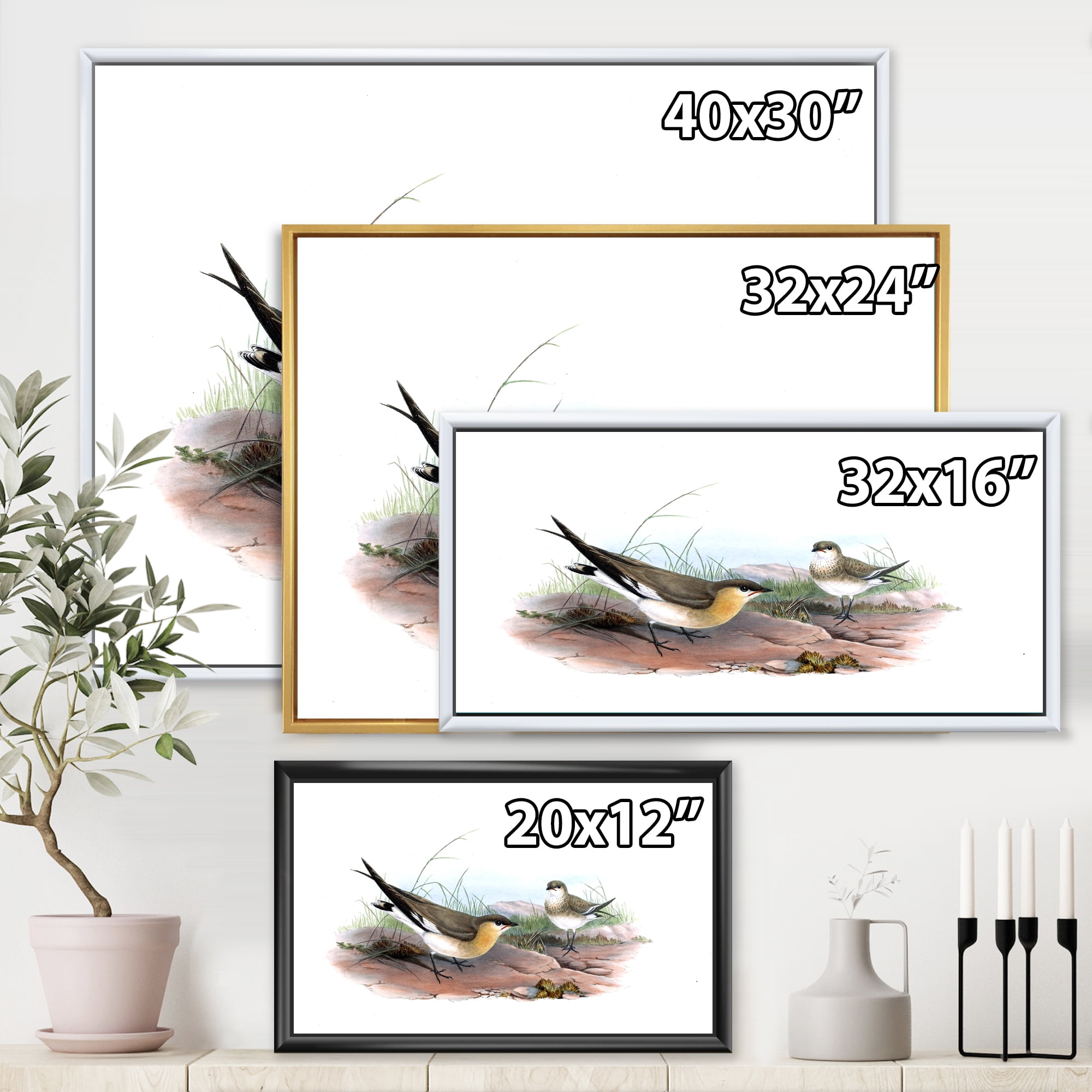 Designart 'Ancient Bird Illustration II' Farmhouse Framed Canvas Wall Art Print