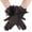 Black, variant on Women Lace Gloves Tea Party Bow Gloves Short Mitten for Bridal Evening Costume Accessories