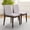 Beige + Dark Brown, variant on Noble House Sidney Laura Dining Chair Set, Linen Upholstery with Solid Wood Frame, Set of 2, Beige