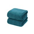 thumbnail image 1 of Yisang Coral Fleece Bath Towel Set Microfiber Quick Dry High Density Gym Spa Sensitive Skin Lightweight Portable Fashion Color, 1 of 3