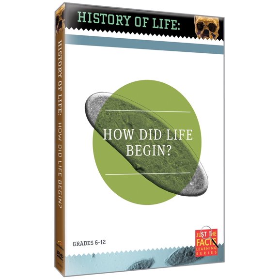 History Of Life: How Did Life Begin?