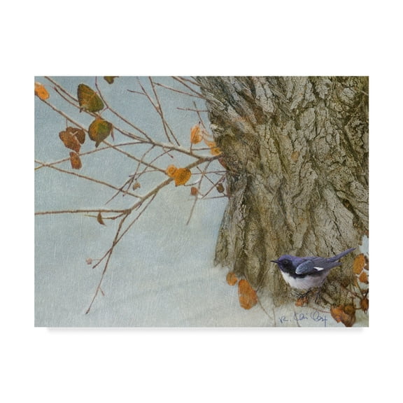 Trademark Fine Art 'Late Snow Warbler' Canvas Art by Chris Vest