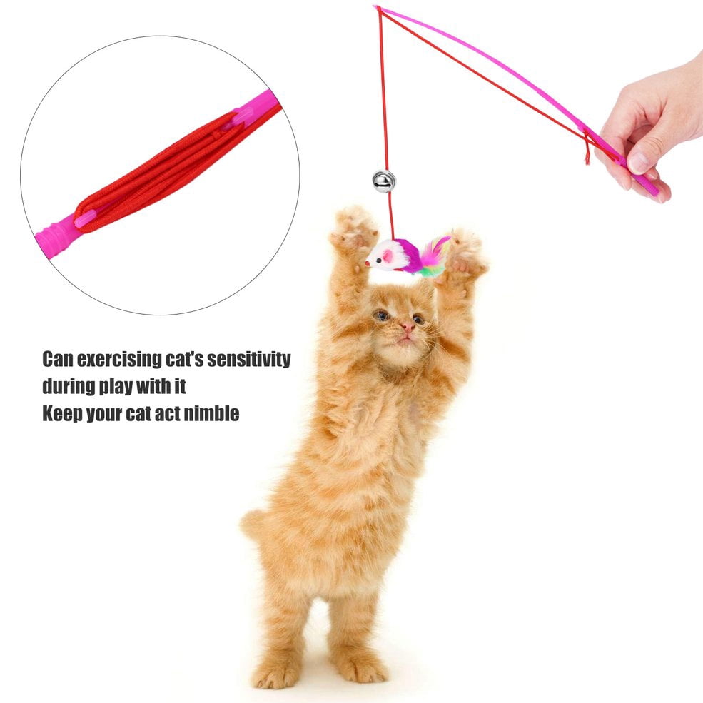 cat toy wand