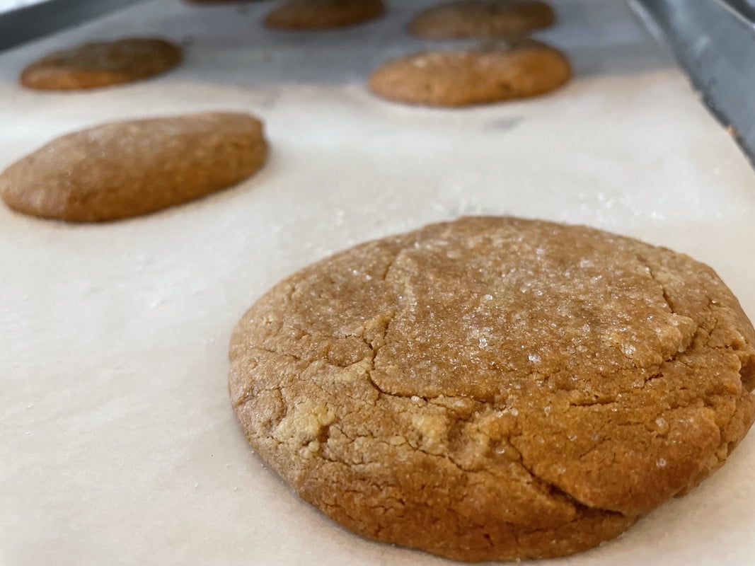 The Cookie Crave Vegan Allergy Friendly Ginger Snap Cookies, 6PK, 3 oz