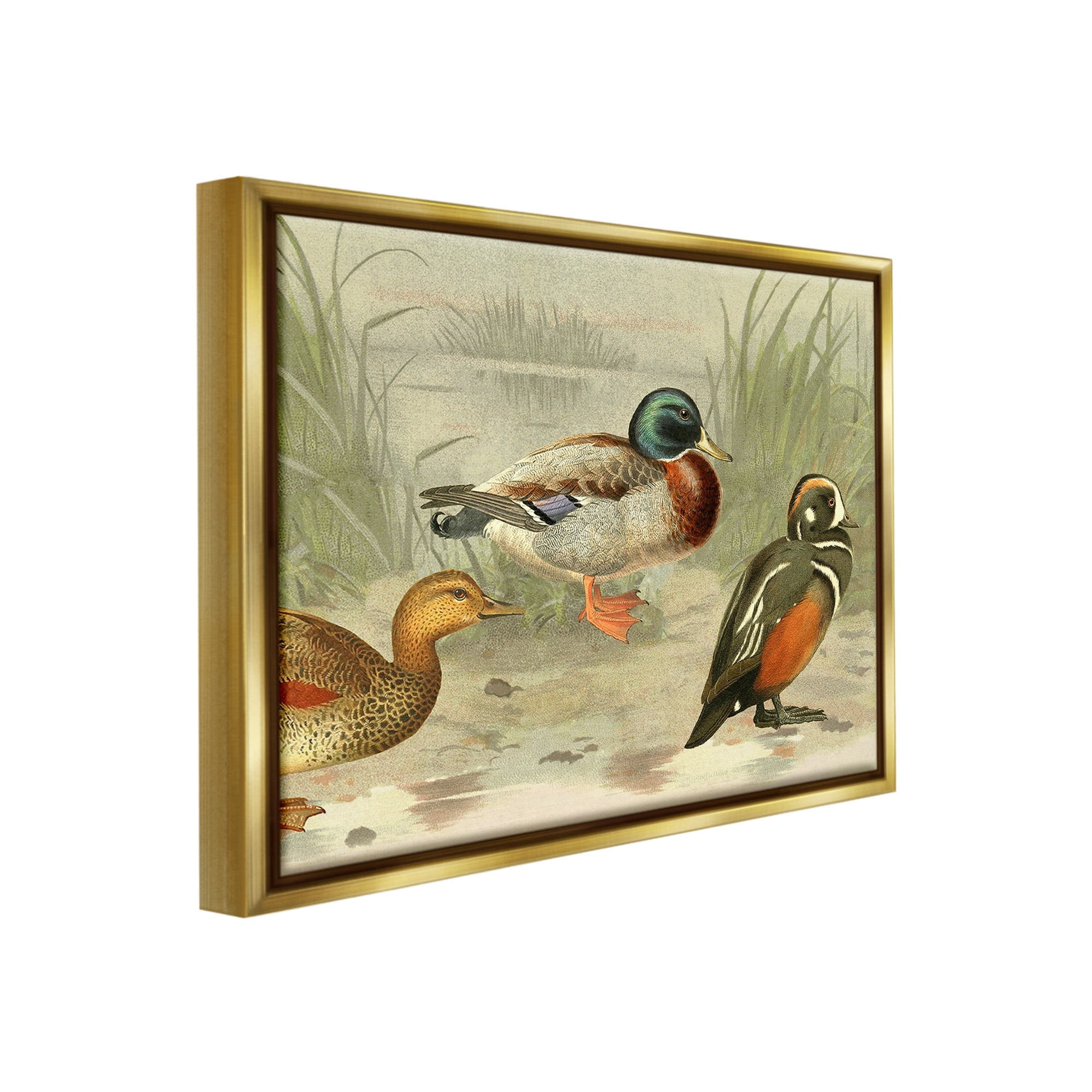 Stupell Industries Various Ducks by Pond Animals & Insects Painting Gold Floater Framed Canvas Art Print Wall Art, 31 x 25