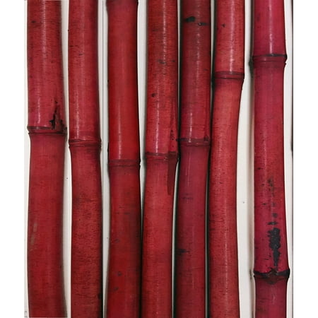 Greenfloralcrafts Decorative Bamboo Poles 3 5 Feet Tall Set Of 8