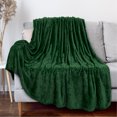 thumbnail image 1 of PAVILIA Waffle Fleece Throw Blanket for Couch Bed Emerald Green, Super Soft Fuzzy Cozy Blanket Sofa, Plush Warm Cute Decorative Home Decor Throw, Lightweight All Season, Forest Dark Green, 50x60, 1 of 8