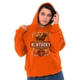 thumbnail image 4 of Kentucky Racing Horses Southern Pride Unisex Plus Fleece Graphic Hoodie Brisco Brands 2X, 4 of 5