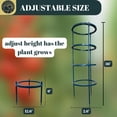 thumbnail image 2 of SunVara Tomato Cages Plant Support Cages 4 Packs Square Steel 13 inch for Garden Cages For Vegetables, 2 of 7