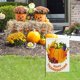 thumbnail image 4 of Bandera de Jardín Vertical de Doble Cara con Diseño de Calabaza y Juegos de Otoño para Patio, Acción de Gracias y Decoración Al Aire Libre., 4 of 6