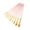 Pink, variant on 10 Pack Paint Brushes, Assorted Sizes, Wooden Handle, Back to Schòòl Art Class Kit -LAILLSH