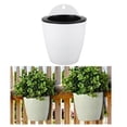 thumbnail image 5 of 7PCS Self-Watering Hanging Plant Flower Pots, 3" Wall Decor Basket Indoor White Strawberry Planter Pots with Drainage in Garden Outdoor, 5 of 6
