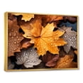 thumbnail image 2 of Designart "Autumn Maple Leaves in Yellow and Orange IV" Floral Framed Wall Art - Traditional Orange Tree Maple Bedroom Framed Canvas Wall Art, 2 of 6