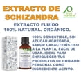 thumbnail image 2 of EXTRACTO DE SCHIZANDRA 60 ML VIVONATURAL. 100% NATURAL. ORGÁNICO, 2 of 3