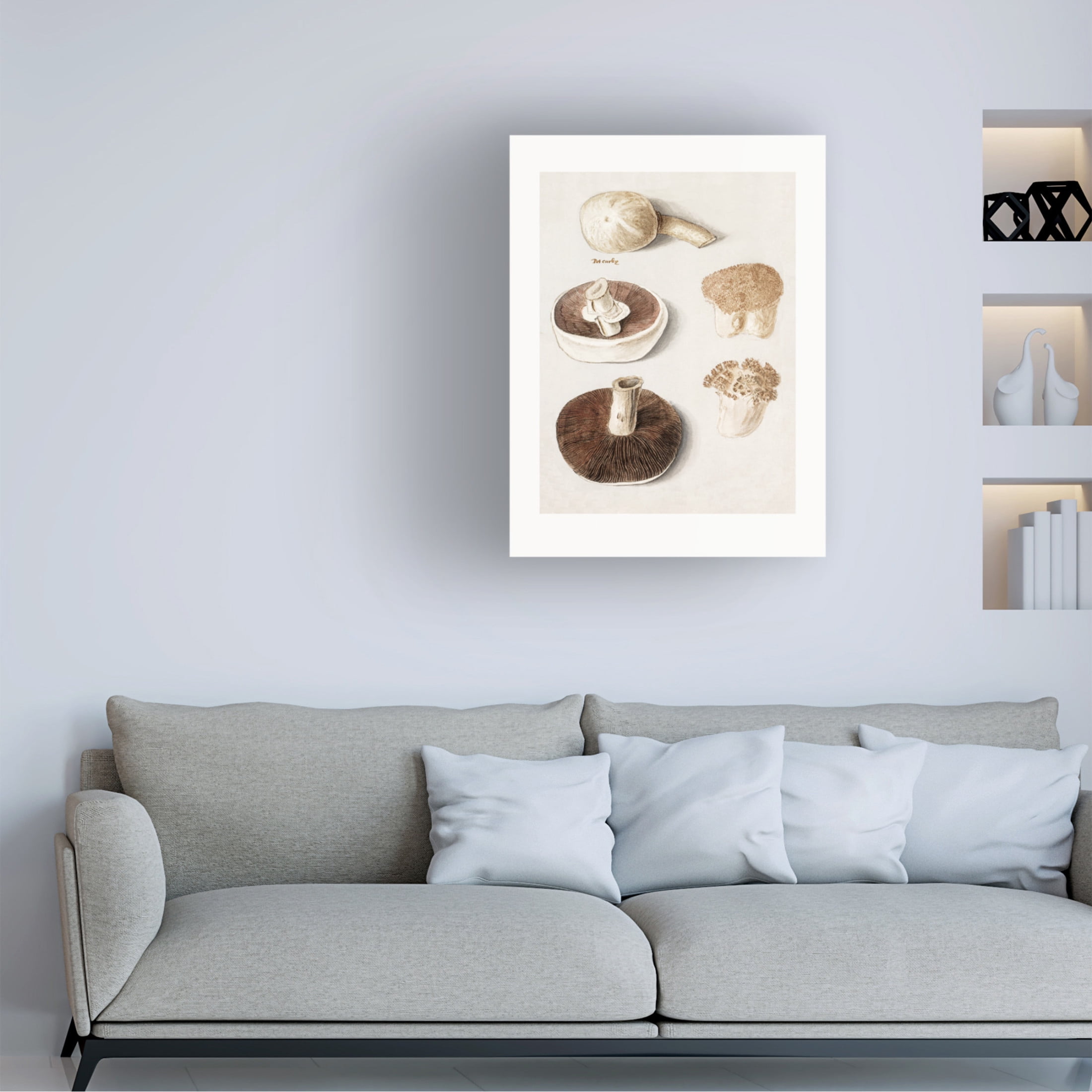 Trademark Fine Art Pictufy Common Meadow Mushroom Canvas Wall Art