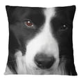 thumbnail image 1 of S4Sassy Black & White Border Collie Dog Face Digital Print Pillow Square Cushion Cover -12 x 12 Inches, 1 of 4
