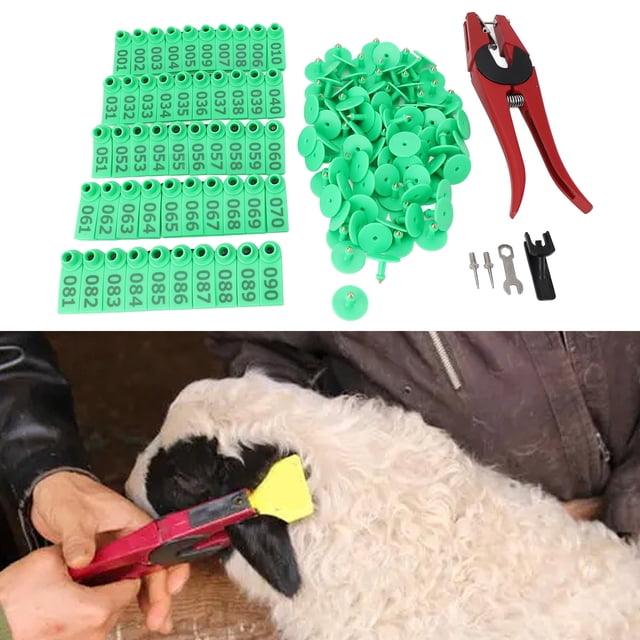 Livestock Ear Tag and Pliers Set Stainless Steel Cattle Ear Tagging Pliers, Convenient and Efficient, Ergonomic Design, for Farm Animal Identification