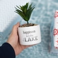 thumbnail image 4 of Lake - Artificial Potted Plant, 4 of 9