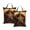 2PCS, variant on Western Texas Star Rustic Vintage Travel Dirty Laundry Bag 1 PC , Portable Hanging Storage Bag for Gym Camping Beach Business Trips