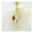 thumbnail image 3 of Manzana Granny Smith Marketside en bolsa 907 g, 3 of 3