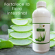 thumbnail image 4 of Jugo de Sábila Concentrado Orgánico (Aloe Vera) 100% Natural Sin Azúcar 1 Litro Radiant Xtend Aloe Vera, 4 of 9