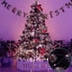 thumbnail image 5 of 8 Pack Fairy Lights 7.2ft 20 Leds Mini Twinkle Lights Battery Operated Halloween String Lights, 5 of 5