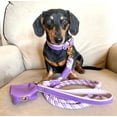 thumbnail image 6 of PoisePup Pet Dog Collar - Lavish Lavander, 6 of 7