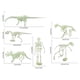thumbnail image 2 of Modelo de esqueleto de dinosaurio que brilla en la oscuridad, juguete de ensamblaje de esqueleto de dinosaurio para niños., 2 of 4