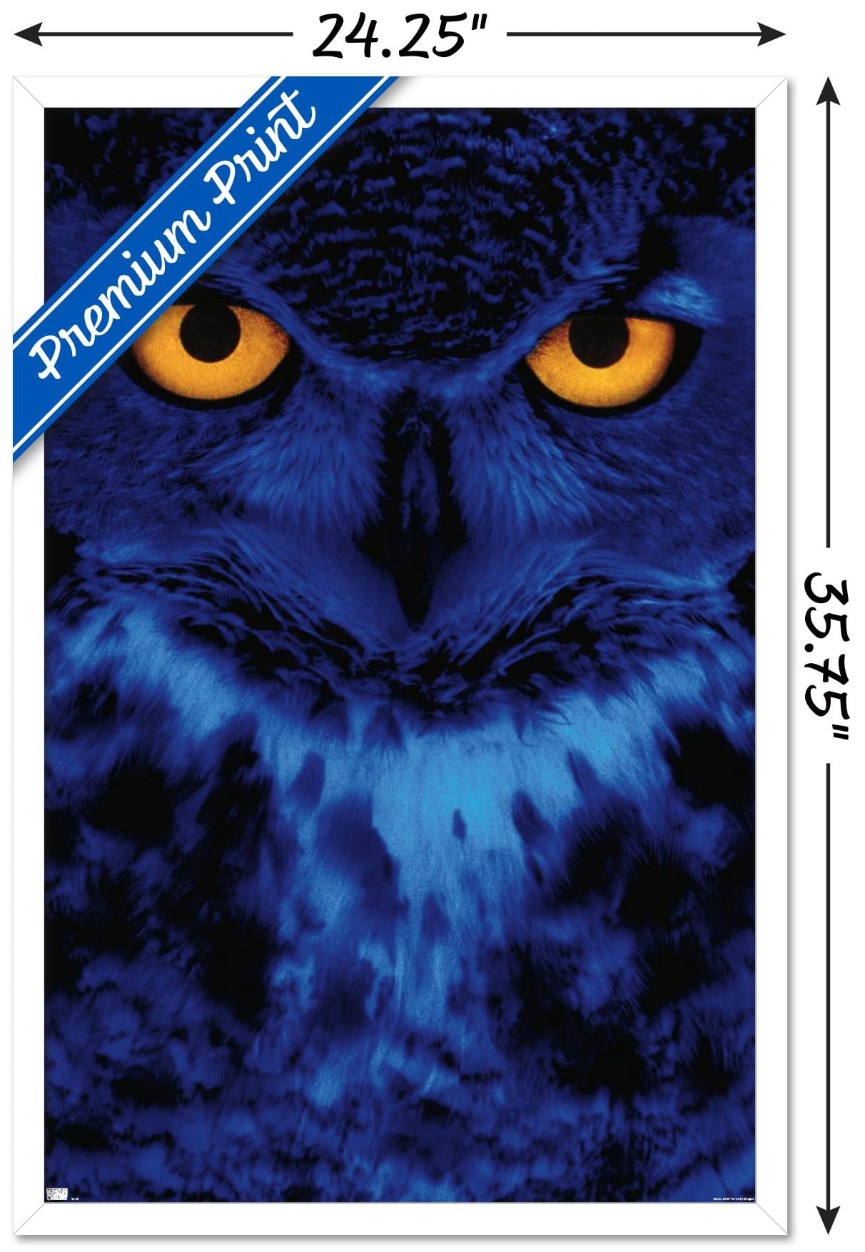 Owl - Eyes Wall Poster, 22.375" x 34", Framed