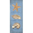thumbnail image 2 of Reed, Tara 12x24 Gold Ornate Wood Framed with Double Matting Museum Art Print Titled - Oceanum Shell Panel Blue II, 2 of 4