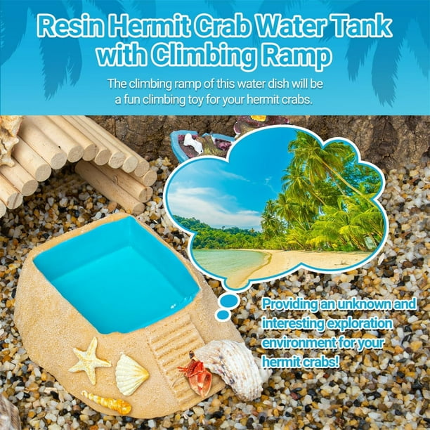 Hermit crab ramp bowl hot sale
