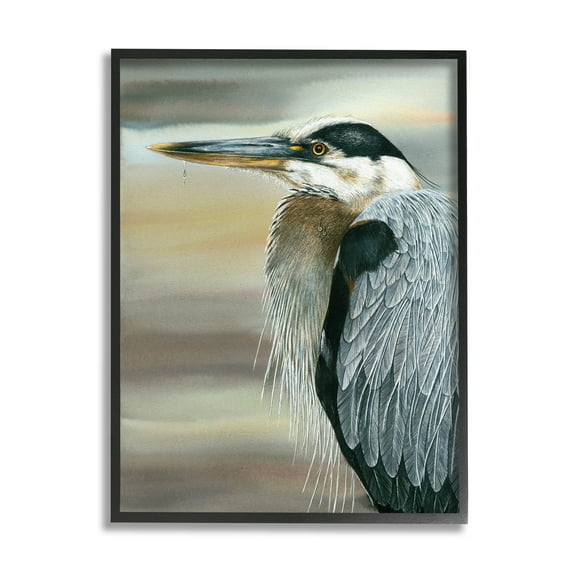 Heron Bird Feather Portrait Animals & Insects Graphic Art Black Framed Art Print Wall Art