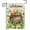 Gold Coin Pot, variant on Happy St Patricks Day Garden Flag 12x18 Double Sided,Green Hat with Gold Coin Shamrock Rainbow Small Yard Flag,Spring Saint Patrick Decors for Outside Outdoor Holiday