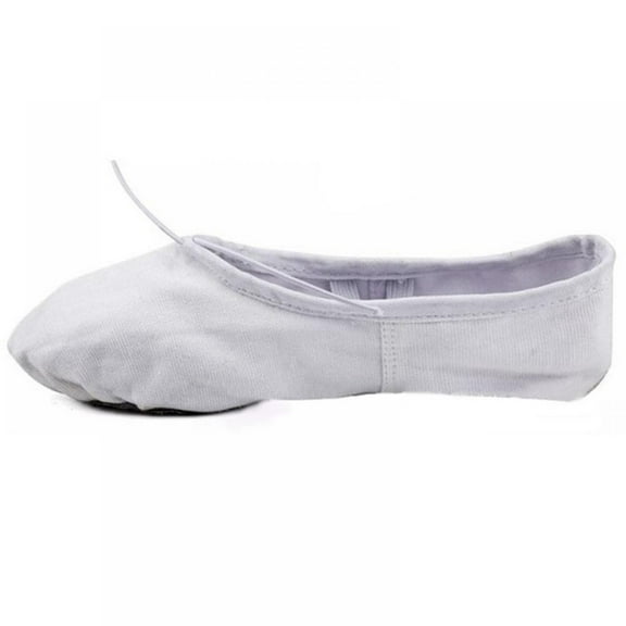 Women's Ballet Shoes Stretch Canvas Dance Slippers Split Sole for Girls/Adult