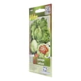 thumbnail image 2 of Pack De 2 Semillas Lechuga 0.5 Gr Verde Vita, 2 of 3