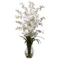 thumbnail image 1 of Orchidée Dame Dansante avec Arrangement de Vase, 1 of 1