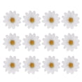 thumbnail image 1 of 12 pinzas para el pelo con flores y margaritas, accesorio para el pelo para niñas., 1 of 5