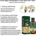 thumbnail image 2 of Ginger Anti Hair Loss 7 Days Oil, Ginger Hair Growth Oil, Natural Ginger Essential Oil for Hair Growth, Nourishes Scalp & Strengthens Hair Roots, 2 of 5
