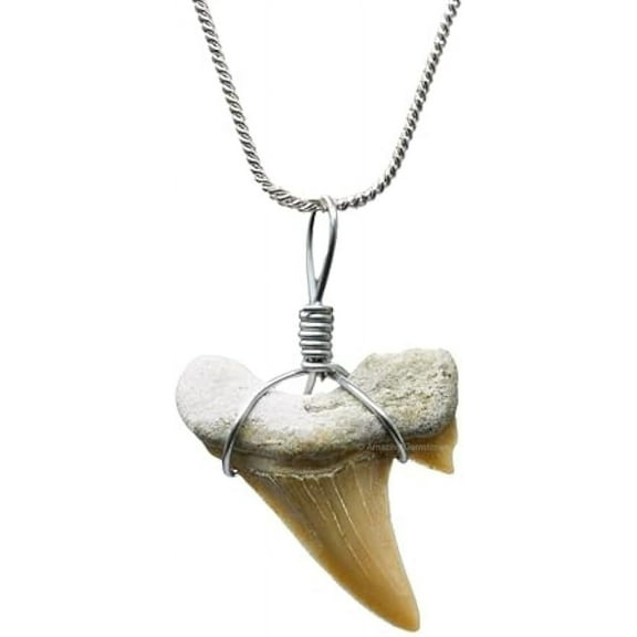 Shark Tooth Necklace - Unisex Fossil Necklace with Shark Teeth - Ideal Shark Tooth Necklace for Men