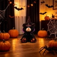 thumbnail image 3 of MYUNNIL Halloween Plush Teddy Bear, Soft Teddy Bear Stuffed with Spider Web Pattern Witch Hat and Cloak, 11" Cool Cute Animal Themed Decoration for Halloween Party & Birthday Gifts, Black, 3 of 7